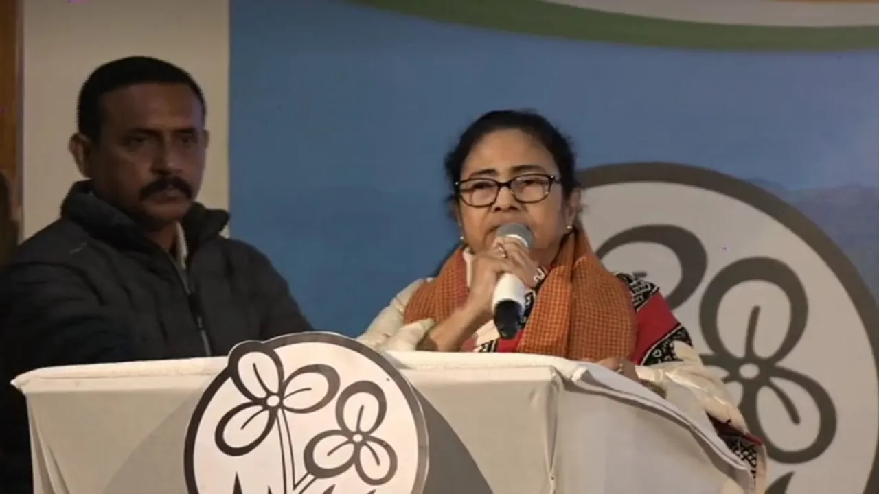 mamata banerjees message to-party leaders and workers on corruption, 'একটা ধানে পোকা হলে সমূলে বিনাশ করতে হয়', ইঙ্গিতপূর্ণ মন্তব্য় মমতার