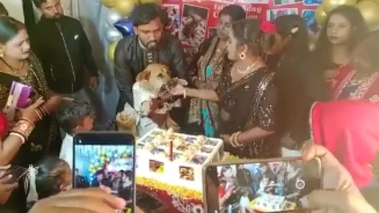 viral video, dhanbad family, dog birthday party