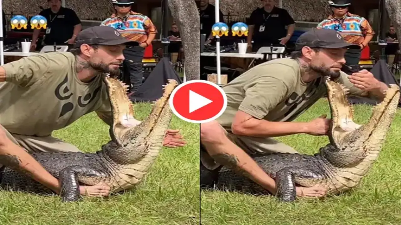 Crocodile Attack Video,Magarmach Ka Video,Google Trends,Trending Video,OMG Vide
