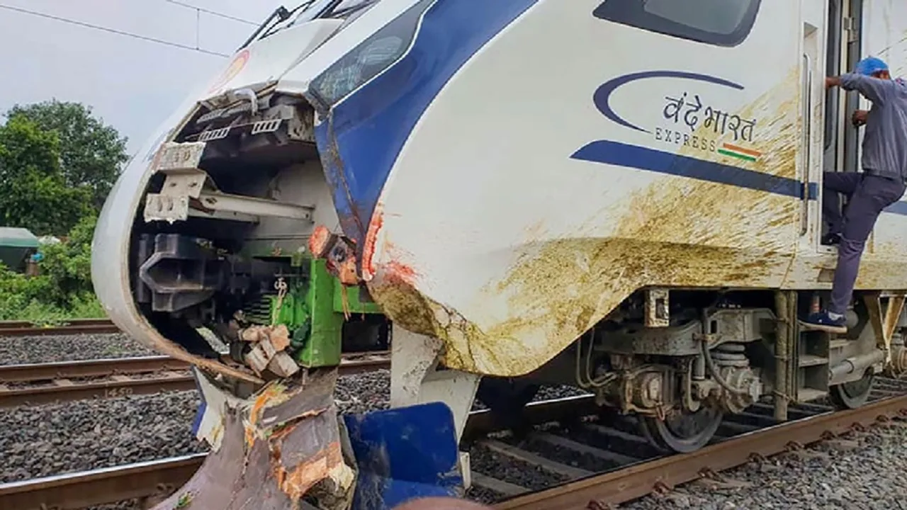Train accident,Train timming,Train rams into cattle,Gandhinagar-Mumbai Vande Bharat Express