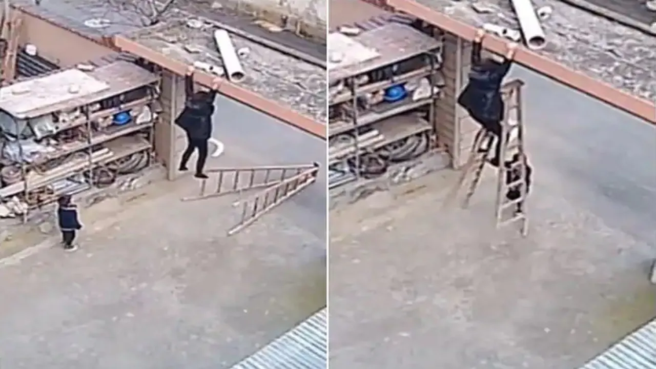 Viral Video of Mother, Trending Video of Mother, Amazing Video of Mother, Shocking Video of Mother, trending Video of Mother on twitter, trending Video of Mother on facebook, trending Video of Mother on instagram, trending Video of Mother on youtube,