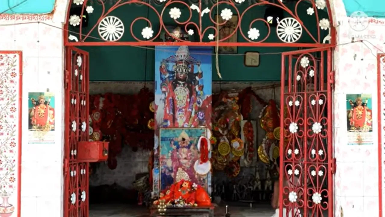 Loba_Kali
