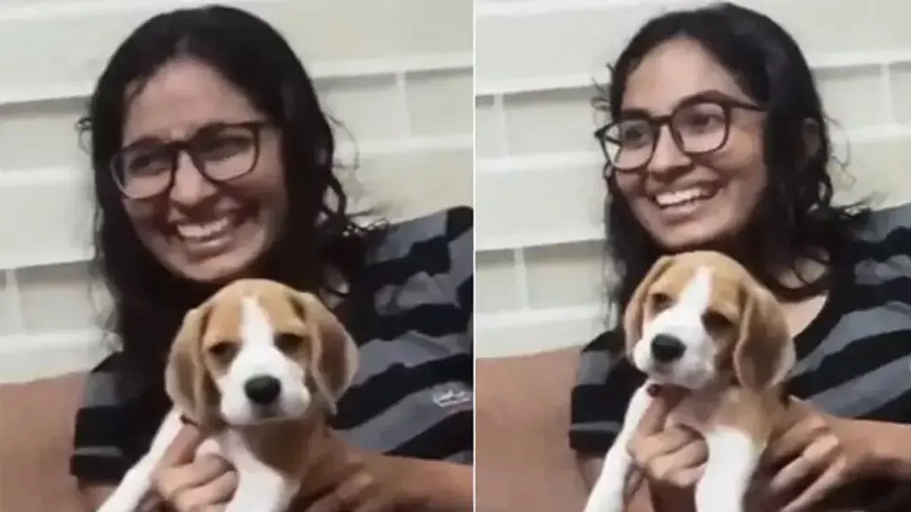 Anand Mahindra,video,dog,Twitter