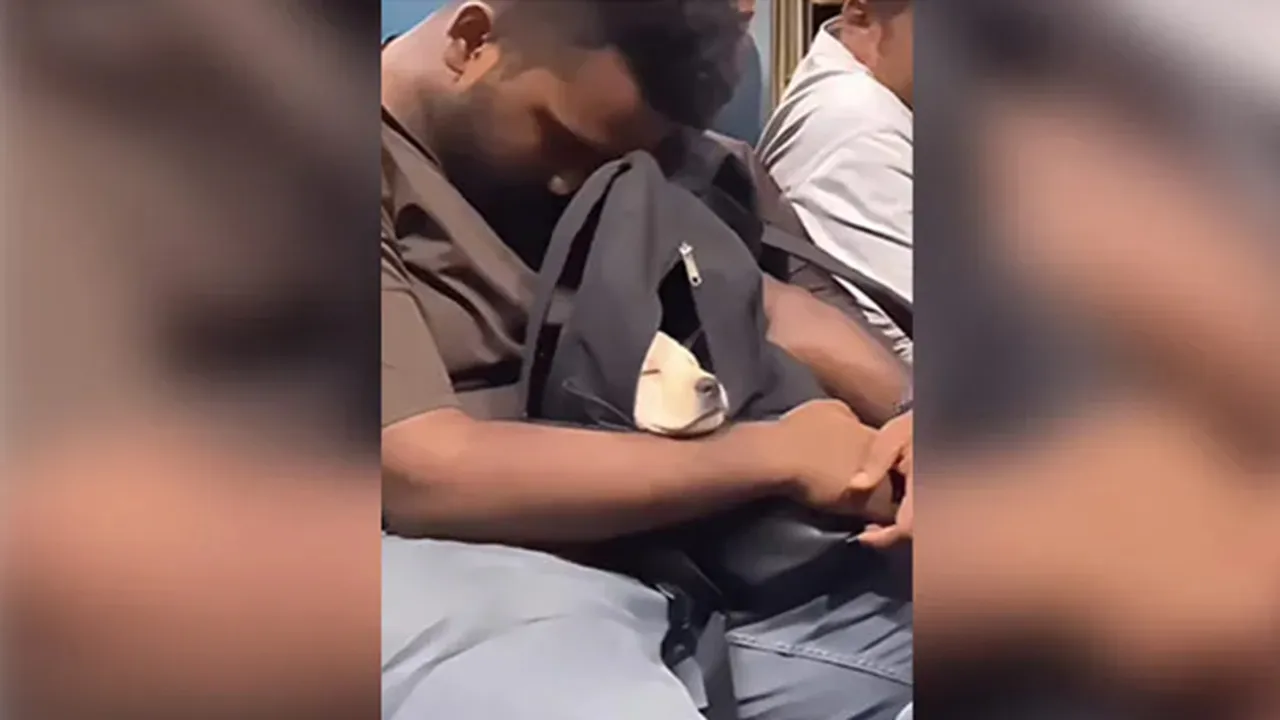 Man Carrying Puppy In His Backpack, Man Carrying Puppy During Train Journey, Man Carrying Puppy In bag During Train Journey, Heartwarming Video, viral video, Man Carrying Puppy in bag, Puppy, Puppy video, Puppy cute video, Puppy viral video, Puppy in train, Puppy in bag, animal video, dog video, humanity, kindness, happiness, animal love, dog lover, cute video, dog ka video, doggy video, trending video,
