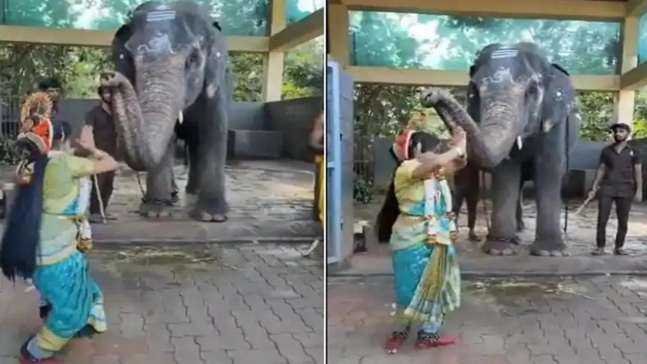 Anand Mahindra,elephant,dancer,video,viral