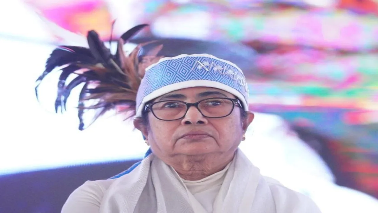mamata visva bharati
