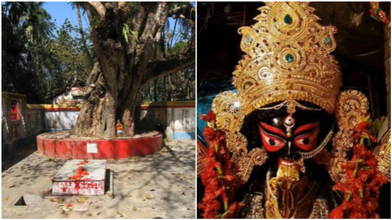 Agarpara_Rakshakali_Puja