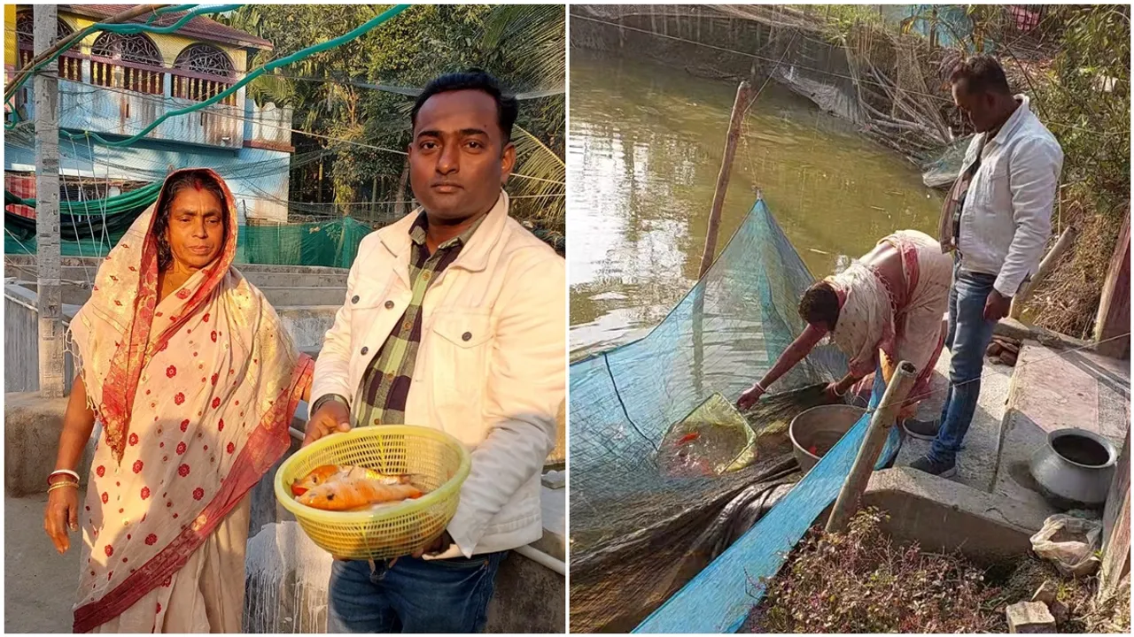 colourful fish farming can give opportunity of income