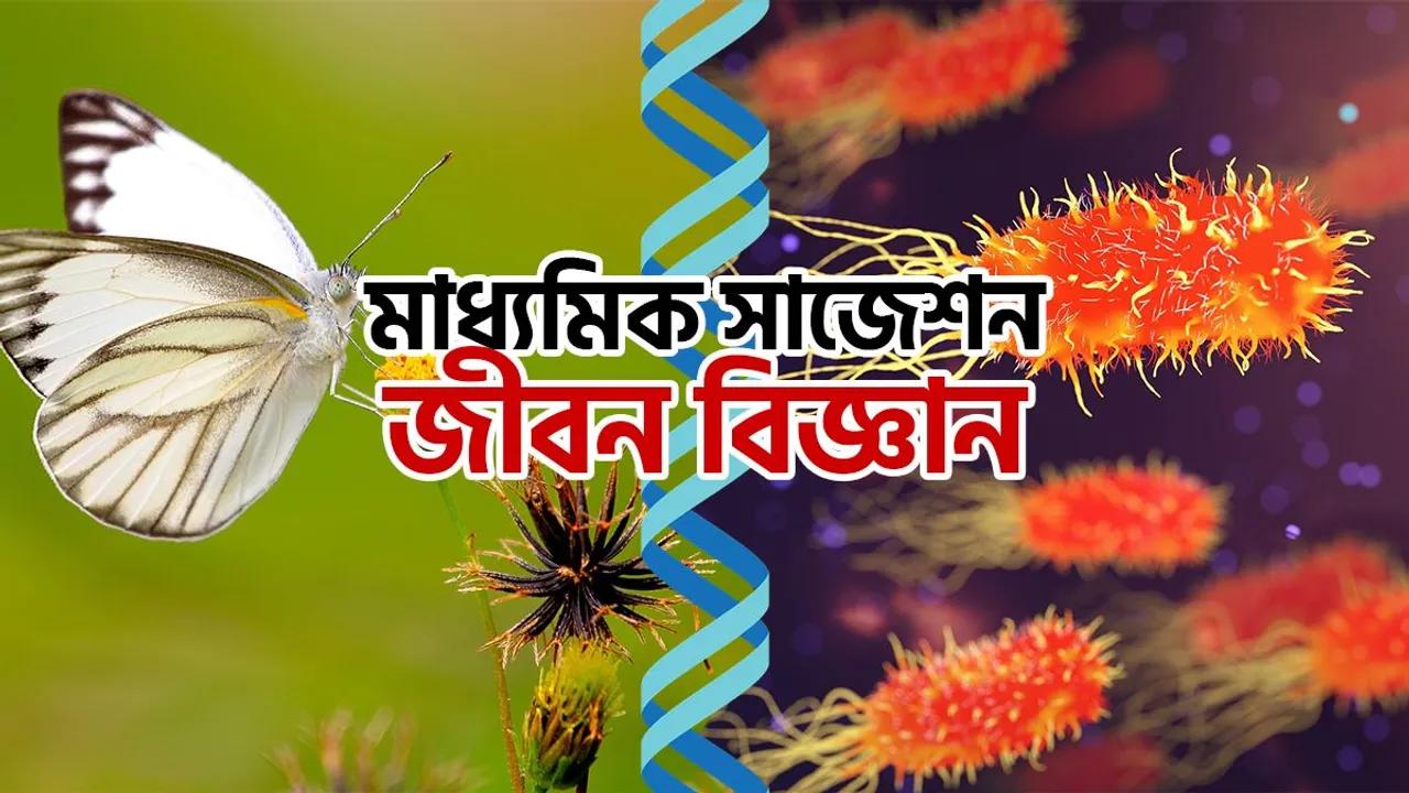 Madhyamik exam last minute preparation life science suggestion