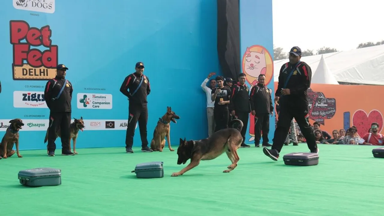 Delhi Police dog squad, G20 summit, G20 summit in Delhi, Delhi police preparation for G20 summit, dog squads, delhi latest news"