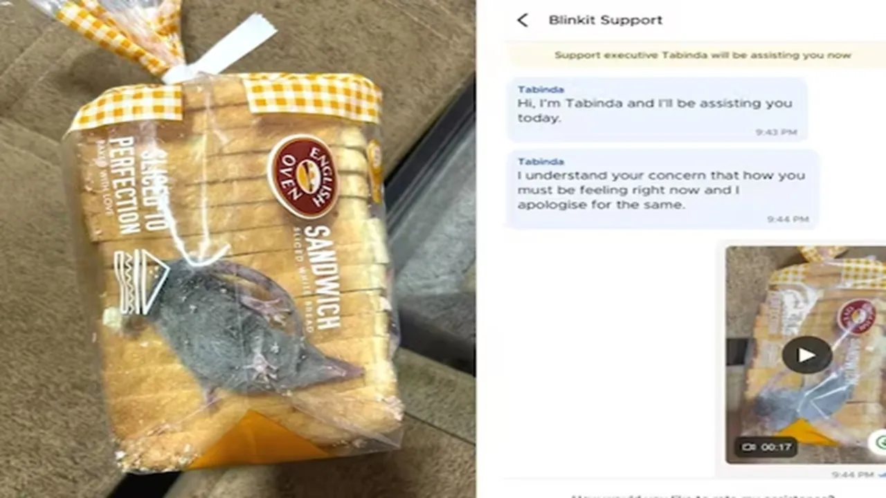 blinkit,live rat with bread order,rat found in bread,blinkit user finds rat inside bread packet,Blinkit news,rat trapped inside bread packet,Rat,blinkit customer service,blinkit new,blinkit order,Blinkit App,twitter post viral,blinket bread,blinkit bread rat,rat in bread,rat in bread packet,viral video,viral news,video,viral,live rodent inside bread packet,rat in blinit delivery"