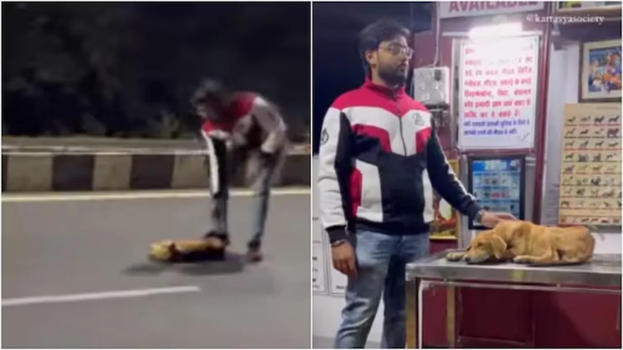 dog,dog video,instagram,man saves dog"