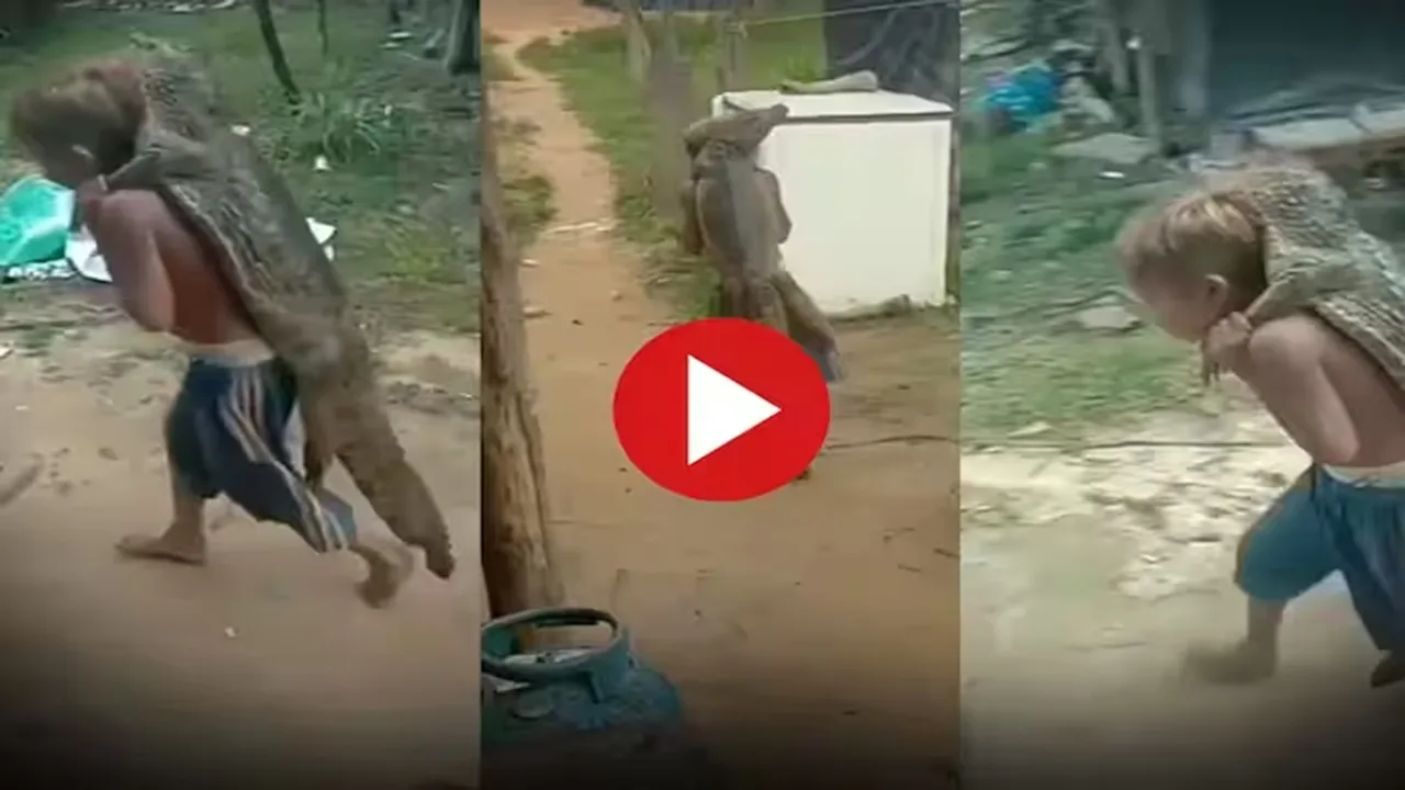 Magarmach Ka Video,Bachche Ne Magarmach Dabocha,Wild Animal Attack Video,Google Trends,Magarmach Ka Hamla,Viral Video,Trending Video,OMG Video"