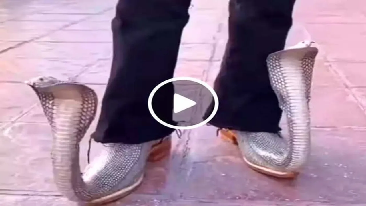 viral adda news, trending viral video, today viral news, social media viral news, snake shoes viral video, nbt viral, harsh goenka viral tweet, funny viral photo, aaj ka viral video