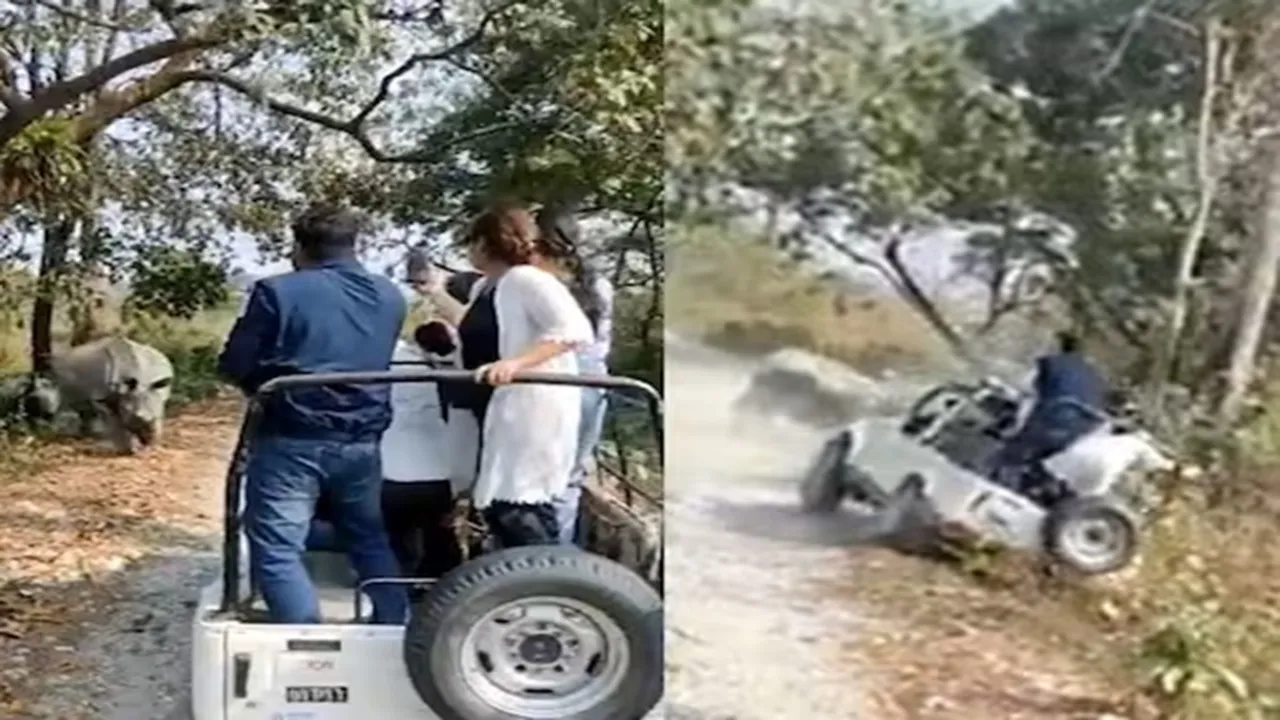 Rhinos Attack Tourist, Rhinos Attack safari Vehicle, wildlife safari india video, Two Rhinos Attack Tourist Vehicle, rhinoceros in india, rhino attack latest news, rhino attack in bengal alipurduar, News about rhino, jungle safari video viral, 6 tourists injured safari jeep falls, Ajab Gajab news, Shocking news, Strange news, Weird news, OMG News, Viral On Social Media IFS Susanta Nanda"/>