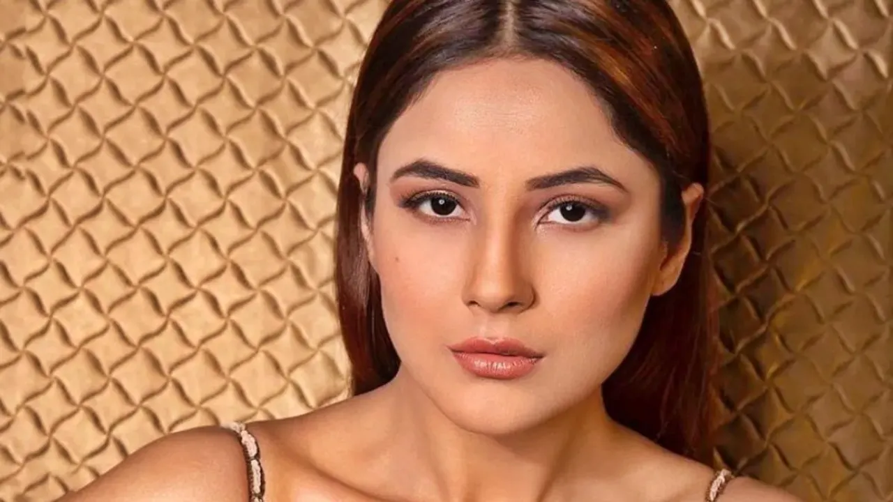 Shehnaaz Gill, Actress Shehnaaz Gill, Shehnaaz Gill singing, Salman khan Shehnaaz Gill, Punjab Katrina Shehnaaz Gill, Bollywood news, শেহনাজ গিল, বিগ বস ১৩ শেহনাজ, সিদ্ধার্থ শেহনাজ, সলমন খান শেহনাজ গিল, বলিউডের খবর
