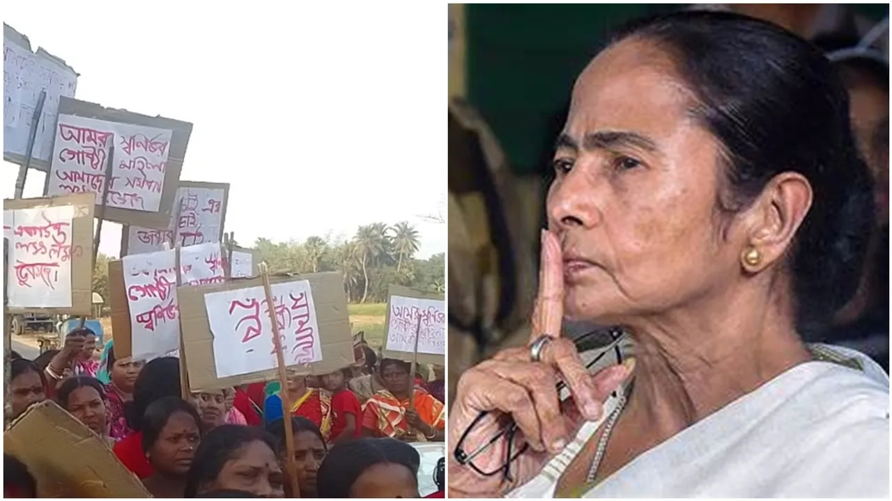 Mamata