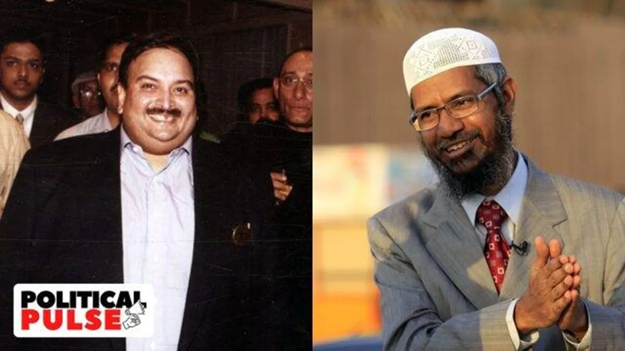 Mehul Choksi to Zakir Naik