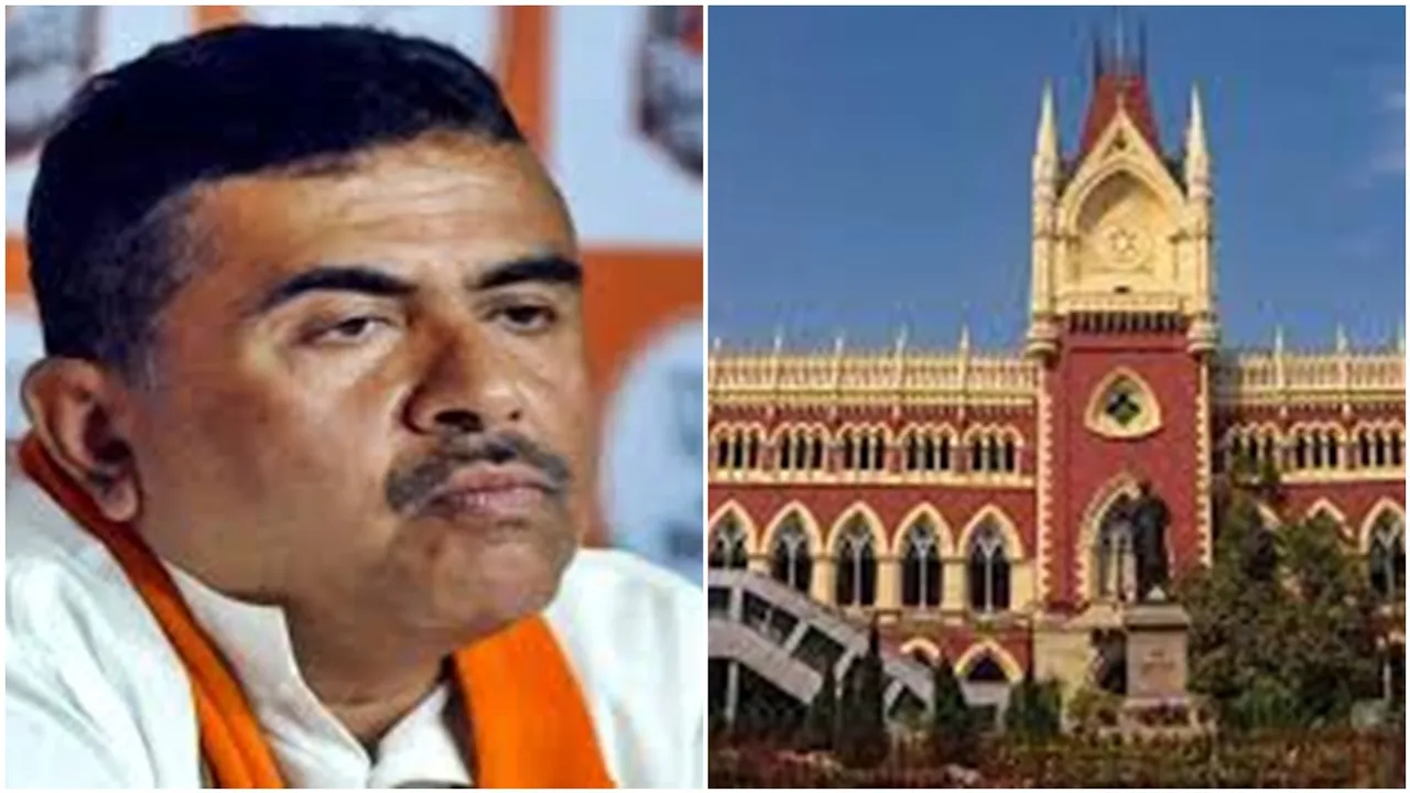 state election commission will take all decission about panchayat poll says HC