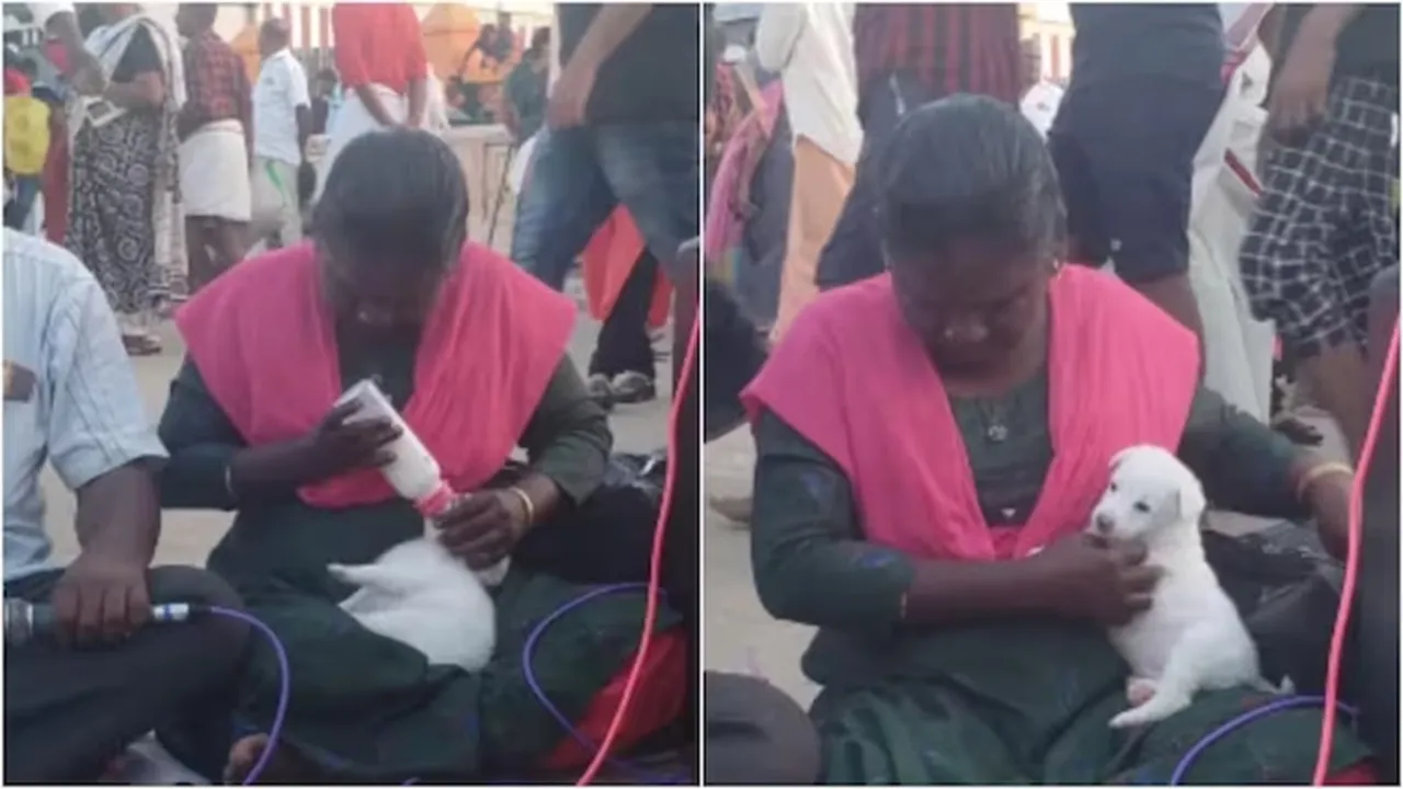 visually-impaired, woman, viral, video, feeds, puppy, milk, bottle, heartwarming, emotional, instagram",