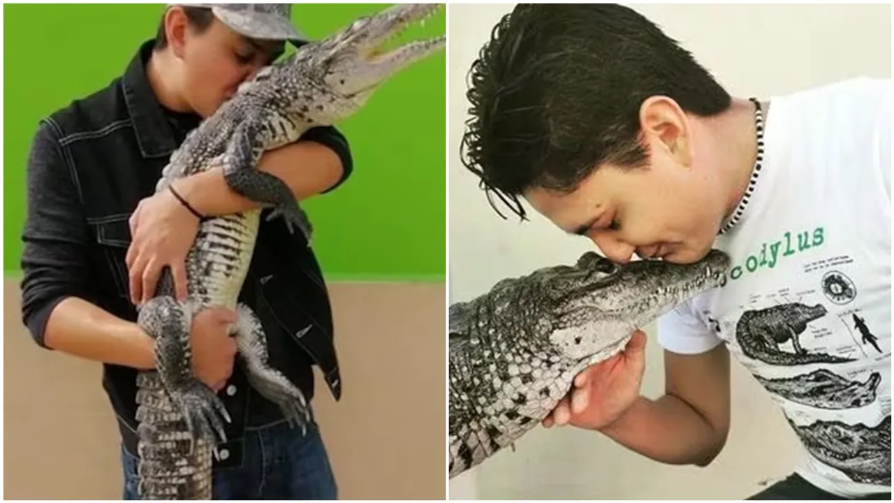 in house, boy sleeps and cuddles with crocodile, larke ne ghar me pala magarmacch, Man Pets a Crocodile in the Home, Odd News, Viral On Social Media, viral On Internet, Weird news, strange news, bizarre news, bizarre story, amazing news, strange news, interesting news, viral news, trending news, viral, trending, ajeebogarib, hatke news, ajab gajab,