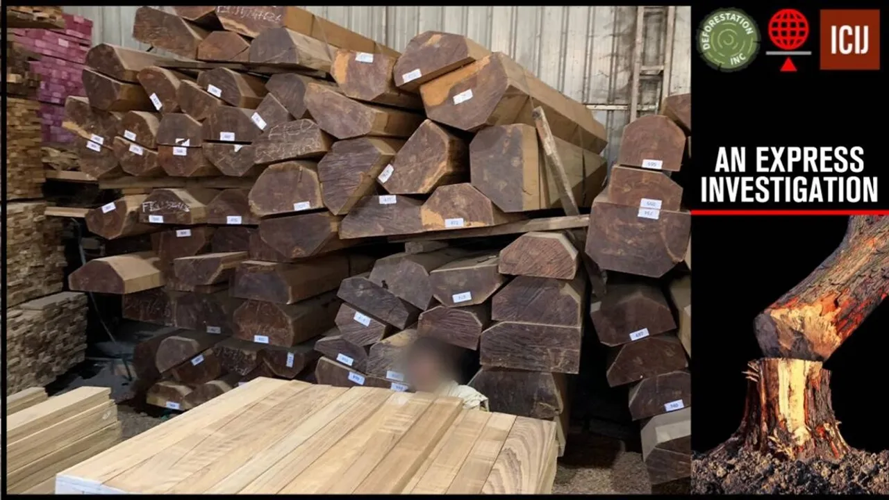 Myanmar, Myanmar teak wood, teak wood smuggling, India importing teak wood, ICIJ, Myanmar wood, Myanmar smuggling across countries, indian express