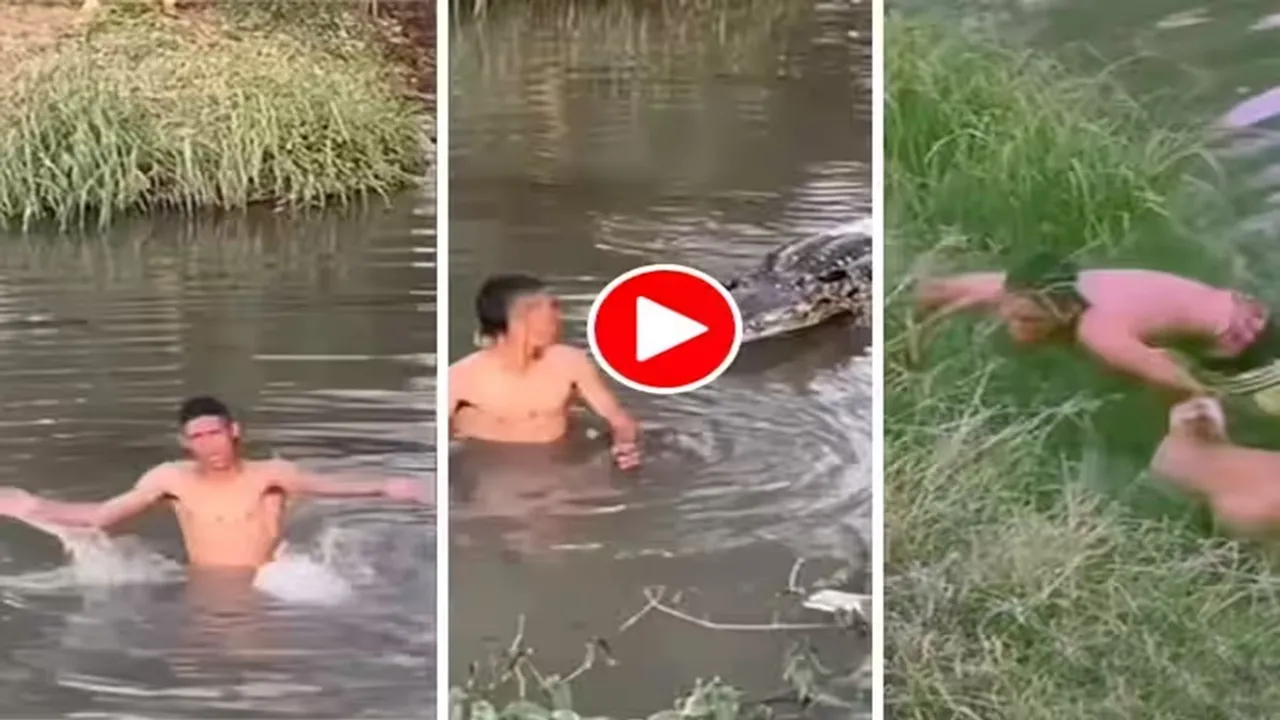 Magarmach Ka Video,Nakli Magarmach Se Prank,Prank Ka Video,Hansi Ka Video,Google Trends,Fake Crocodile Video,Funny Video,Comedy Video,Fun Ka Video,Masti Ka Video