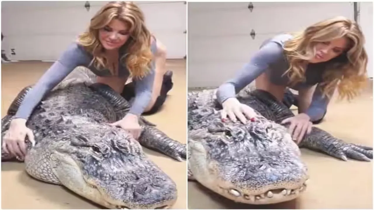 "Viral Video of Crocodile, Trending Video of Crocodile, Amazing Video of Crocodile, Shocking Video of Crocodile, latest tending Video of Crocodile, trending Video of Crocodile on twitter, trending Video of Crocodile on facebook, trending Video of Crocodile on instagram, trending Video of Crocodile on youtube,