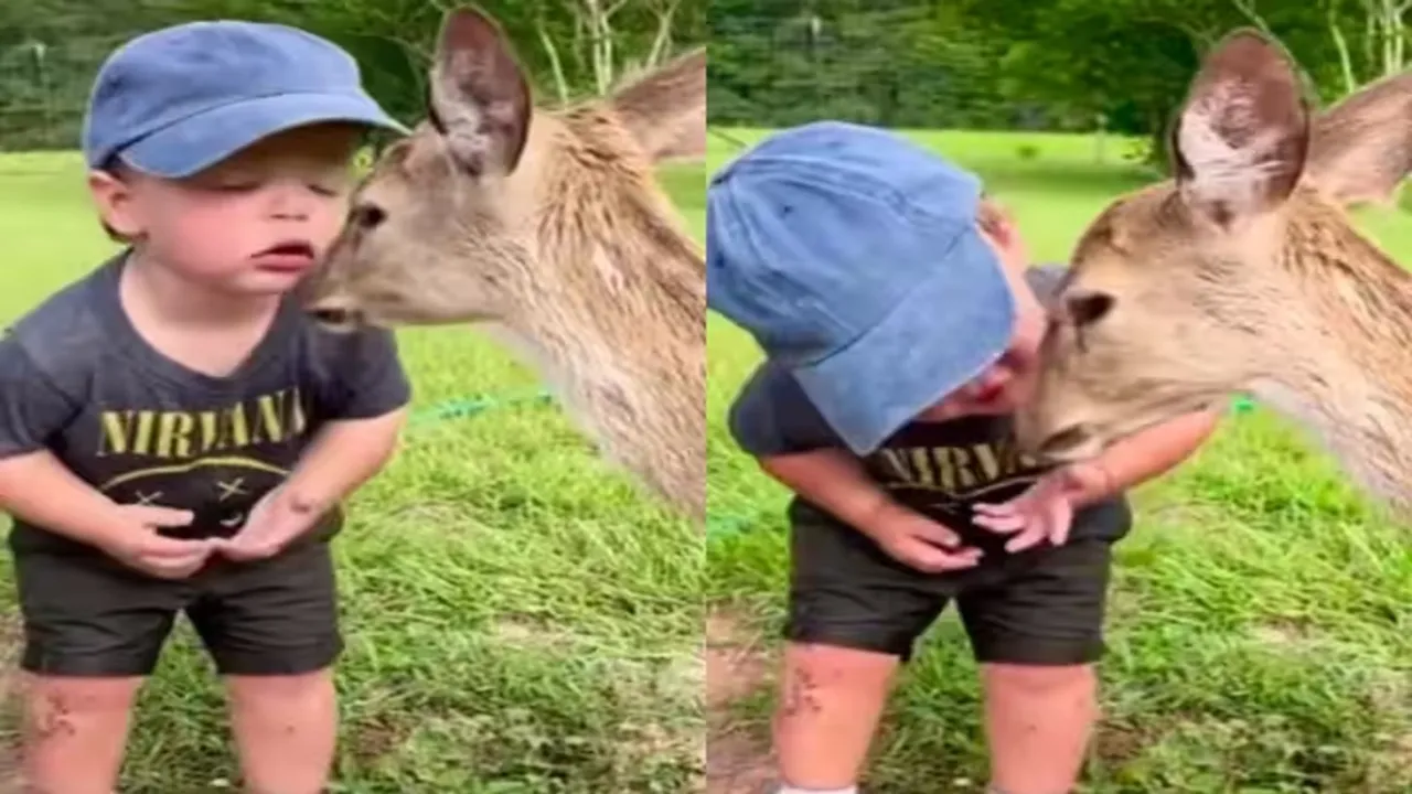trending Video, viral video, animal video, kid and deer video, baby video, viral baby cute video, animal and baby video, animal and kids video, cute viral video, trending kids video, funny video, viral twitter video, boy video, exotic baby video, kid kissing deer video