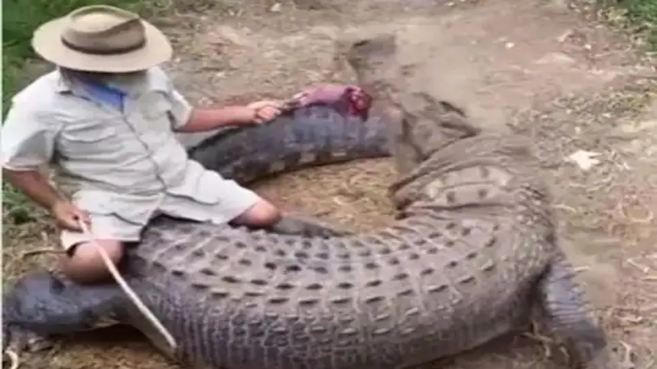 Dangerous Crocodile Attack,Google Trends,Google Trends Today,magarmach ka hamla,Magarmach Ka Insan Par Hamla,Magarmach Ka Video,Trending Video,Wild Animal Attack,Man Playing With Crocodile, crocodile, crocodile video, crocodile viral video, animals videos, animals viral videos,Ajab Gajab news, Shocking news, Strange news, Weird news, OMG News, Viral On Social Media,"