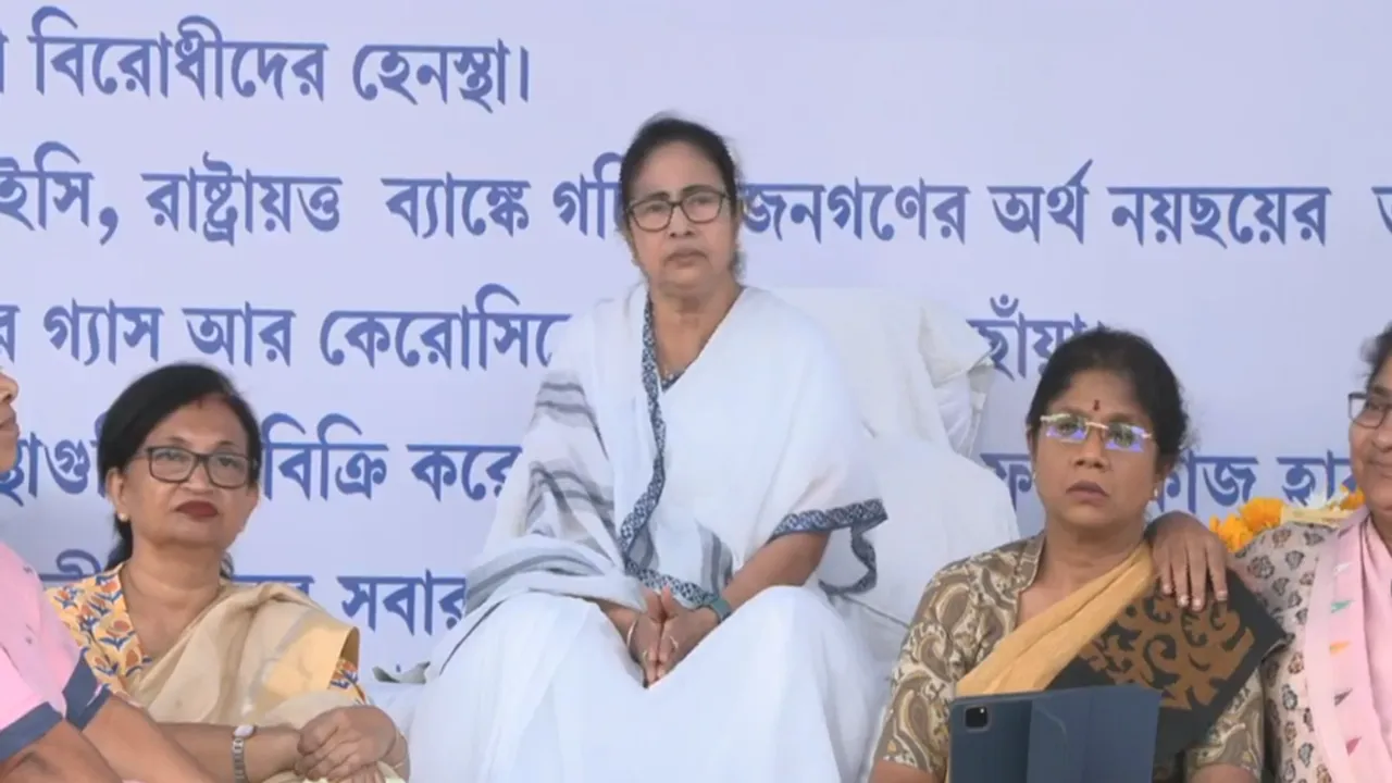 mamata banerjee sing a song at dharna stage at kolkata red road
