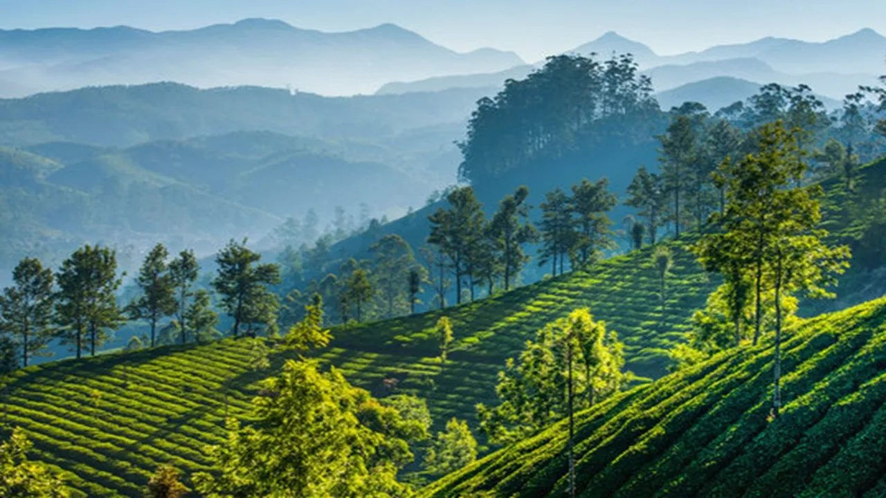 kalimpong Daragaon may be a perfect tourist destination