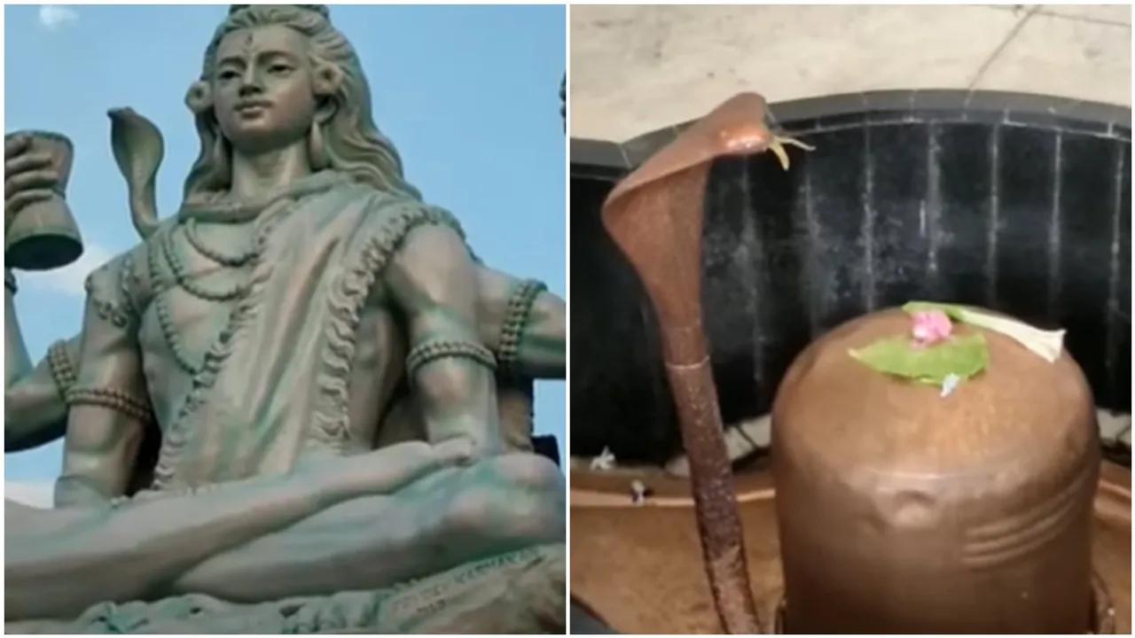 Shiva
