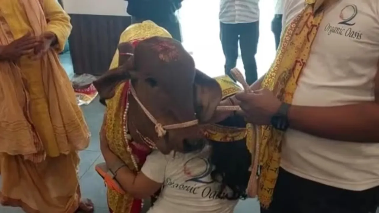 cow inaugurates restaurant, Lucknow's first organic restaurant, lucknow organic restaurant, cow lucknow organic restaurant, Former deputy superintendent of police (DySP) Shailendra Singh