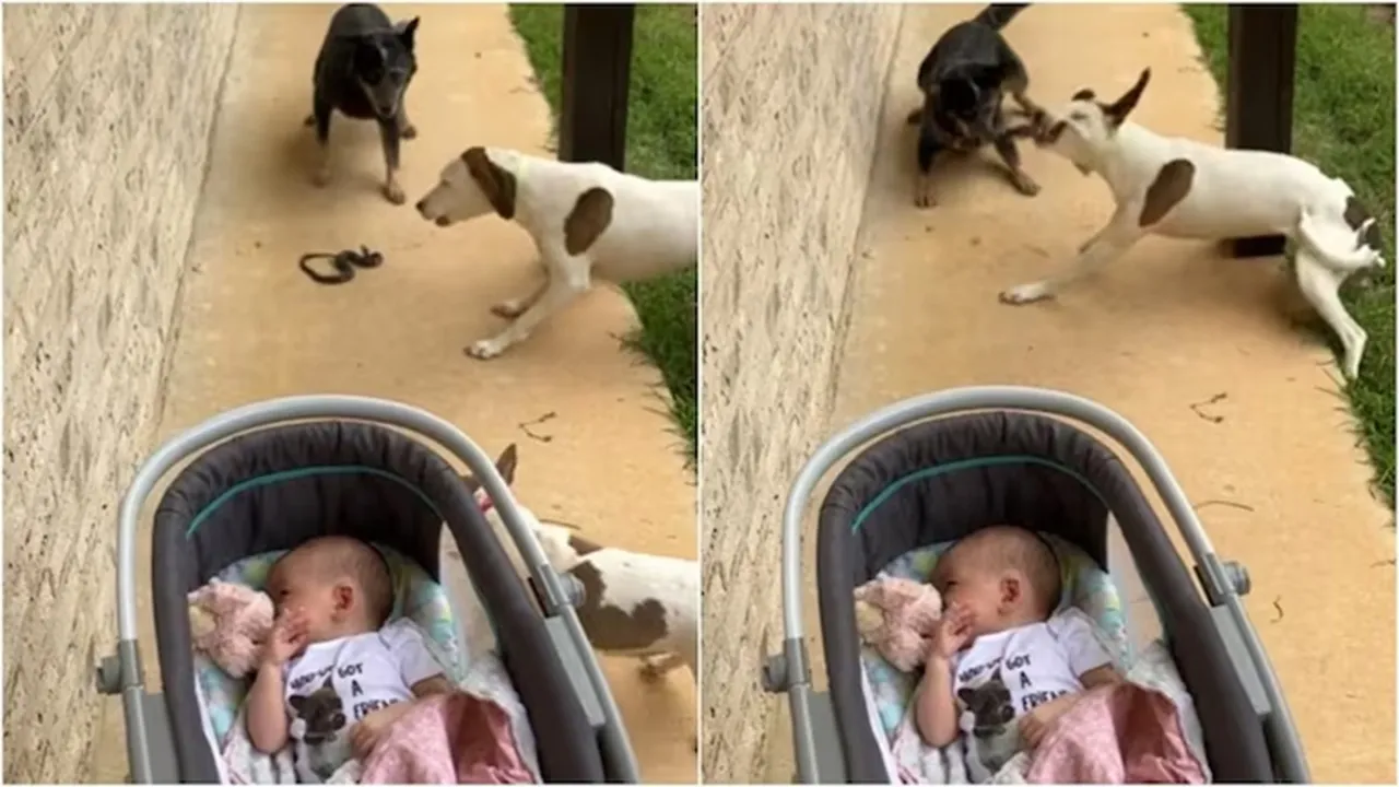 save baby in viral video