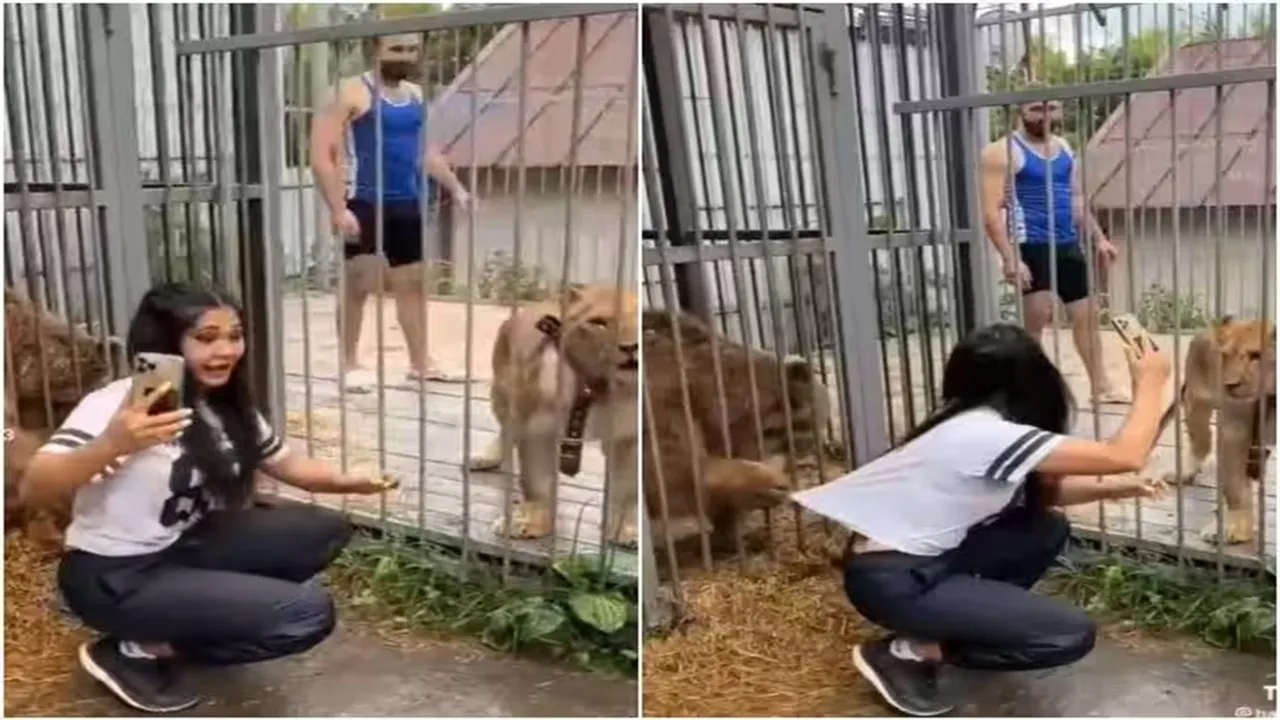 Selfie With Wild Animal, Selfie with lion, Selfie with bear, Viral Video of Selfie, Trending Video of Selfie, Amazing Video of Selfie, Shocking Video of Selfie, latest tending Video of Selfie, trending Video of Selfie on twitter, trending Video of Selfie on facebook, trending Video of Selfie on instagram, trending Video of Selfie on youtube,