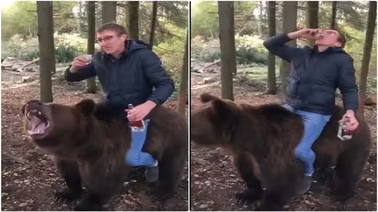 "Viral Video of Bear, Trending Video of Bear, Amazing Video of Bear, Shocking Video of Bear, latest tending Video of Bear, trending Video of Bear on twitter, trending Video of Bear on facebook, trending Video of Bear on instagram, trending Video of Bear on youtube,