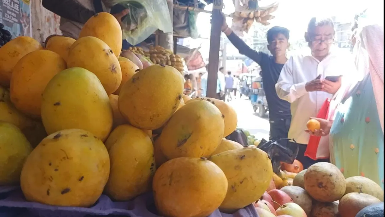 malda markets are full of chennai mangoes , 'বহিরাগত' আমেই ছেয়ে গিয়েছে মালদা! জেলার গর্ব হিমসাগর, গোপালভোগ, আম্রপলি এখনও গাছেই