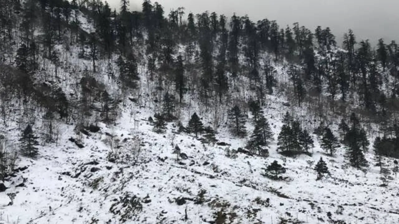avalanche hits Nathula sikkim , সিকিমের নাথুলায় তুষারধস