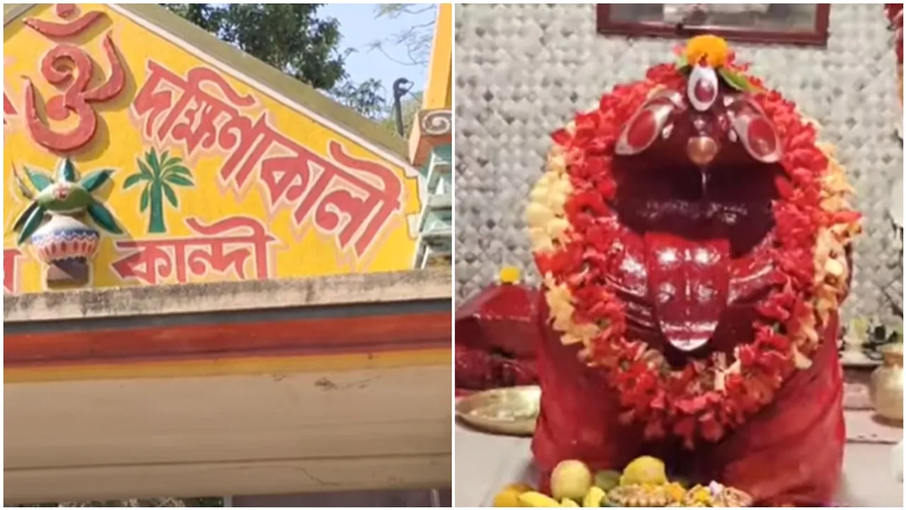 Dohaiya Dakshina Kali 1