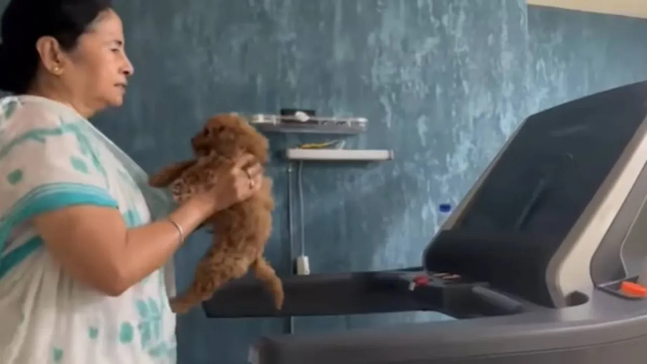 Sunday Motivation! Mamata Banerjee shares video on treadmill with her pet dog
