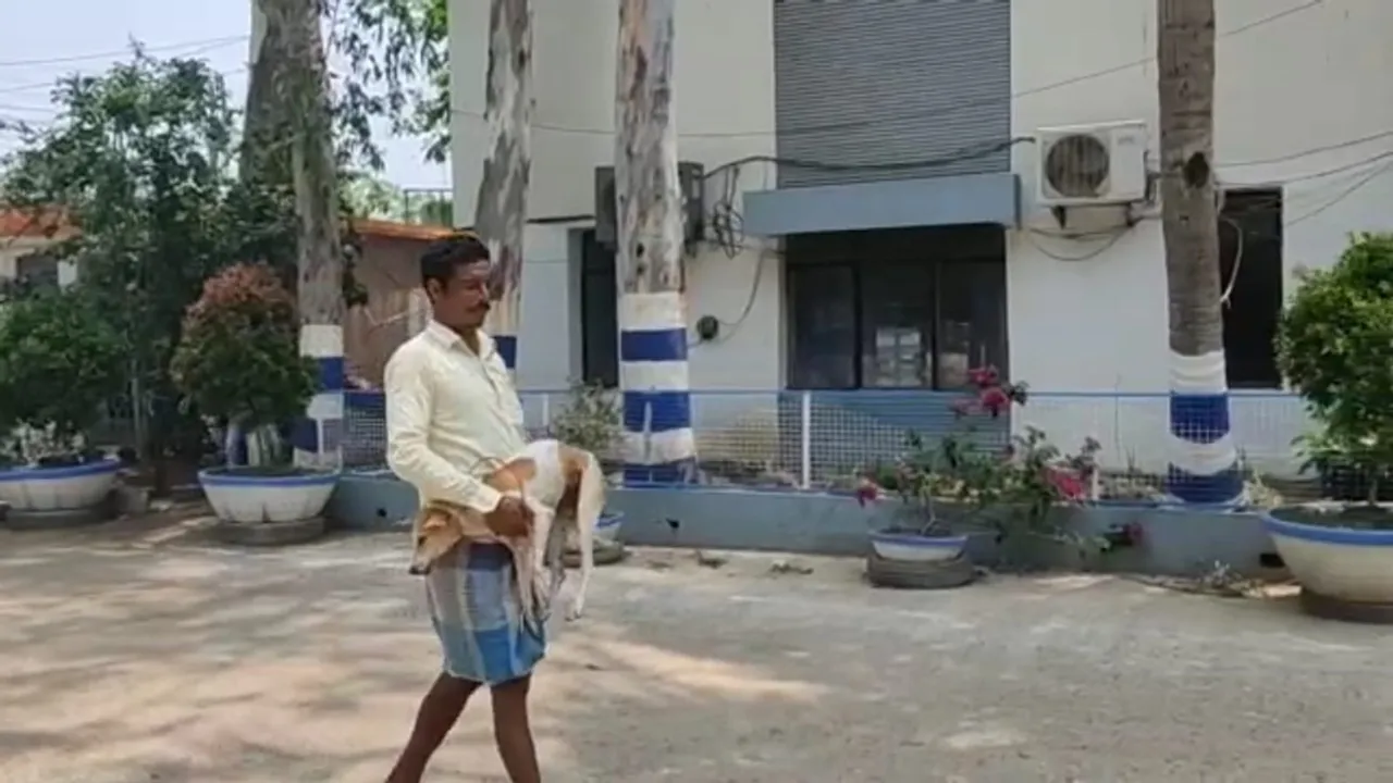 A puppy injured by a man's sharp weapon