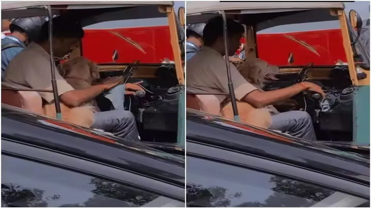 Viral Video of Dog, Trending Video of Dog, Twitter Viral Video of Dog, Amazing Video of Dog, Shocking Video of Dog, Hatke Khabar, Khabren Zara Hatke, latest tending Video of Dog, trending Video of Dog on twitter, trending Video of Dog on facebook, trending Video of Dog on instagram, trending Video of Dog on youtube