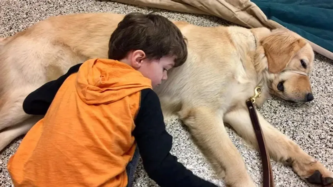 Dog playing with baby, Viral Video of Dog, Trending Video of Dog, Twitter Viral Video of Dog, Amazing Video of Dog, Shocking Video of Dog, Hatke Khabar, Khabren Zara Hatke, latest tending Video of Dog, trending Video of Dog on twitter, trending Video of Dog on facebook, trending Video of Dog on instagram, trending Video of Dog on youtube,