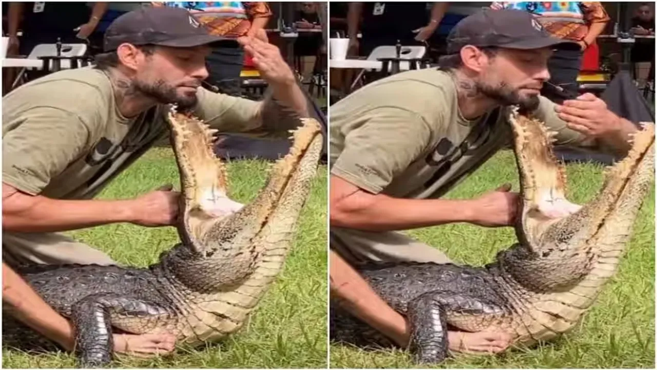 Crocodiles Attack Video, Dangerous Crocodiles Attack On Man, Viral Video of Crocodile, Trending Video of Crocodile, Twitter Viral Video of Crocodile, Amazing Video of Crocodile, Shocking Video of Crocodile, Hatke Khabar, Khabren Zara Hatke, latest tending Video of Crocodile, trending Video of Crocodile on twitter, trending Video of Crocodile on facebook, trending Video of Crocodile on instagram, trending Video of Crocodile on youtube