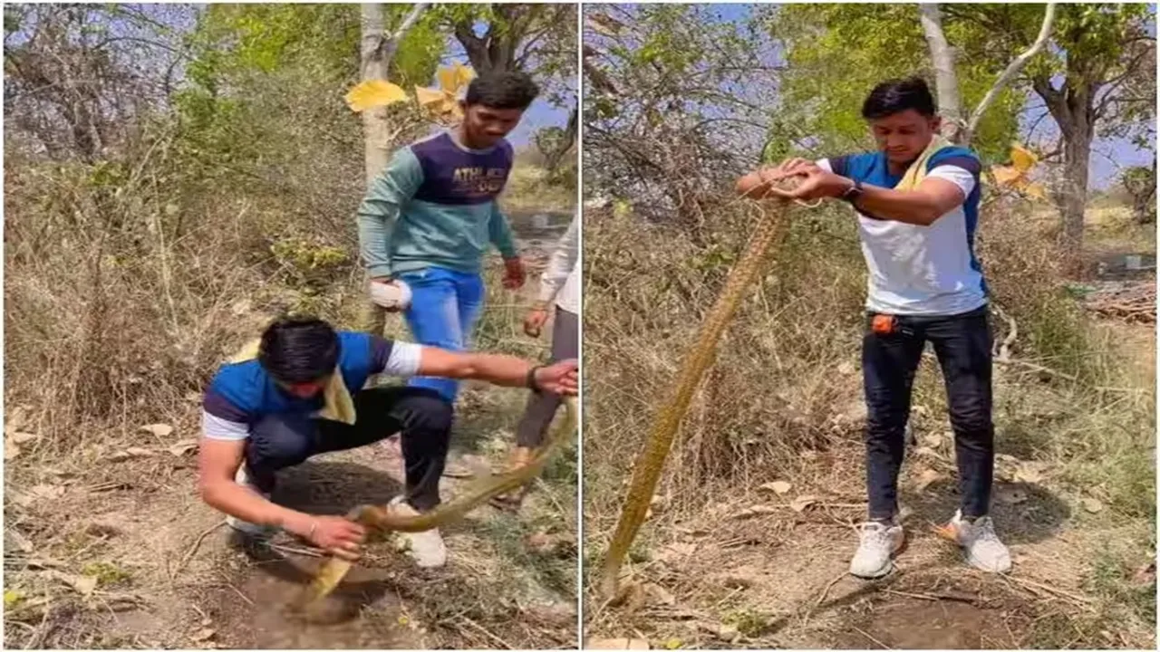 Viral Video of Snake Rescue, Trending Video of Snake Rescue, Twitter Viral Video of Snake Rescue, Amazing Video of Snake Rescue, Shocking Video of Snake Rescue, Hatke Khabar, Khabren Zara Hatke, latest tending Video of Snake Rescue, trending Video of Snake Rescue on twitter, trending Video of Snake Rescue on facebook, trending Video of Snake Rescue on instagram, trending Video of Snake Rescue on youtube,