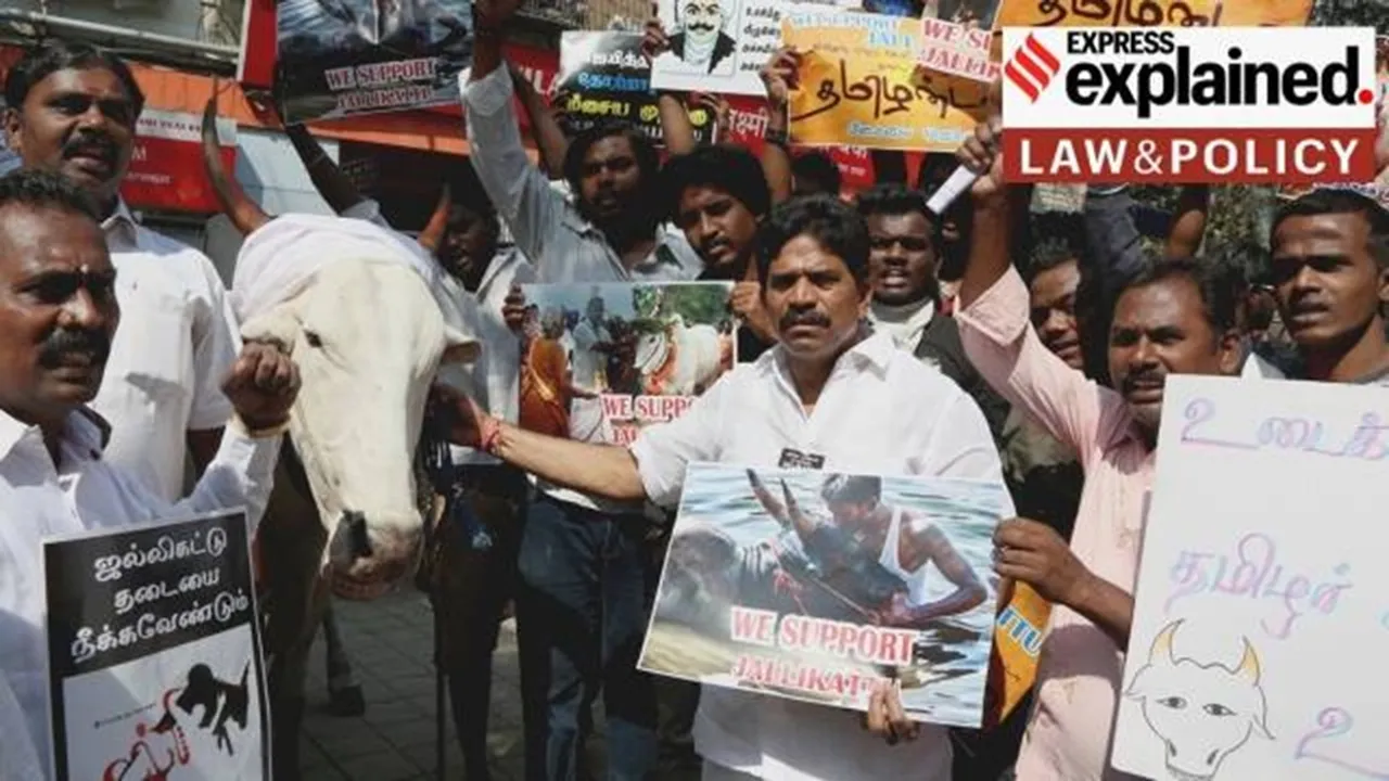 jallikattu protest