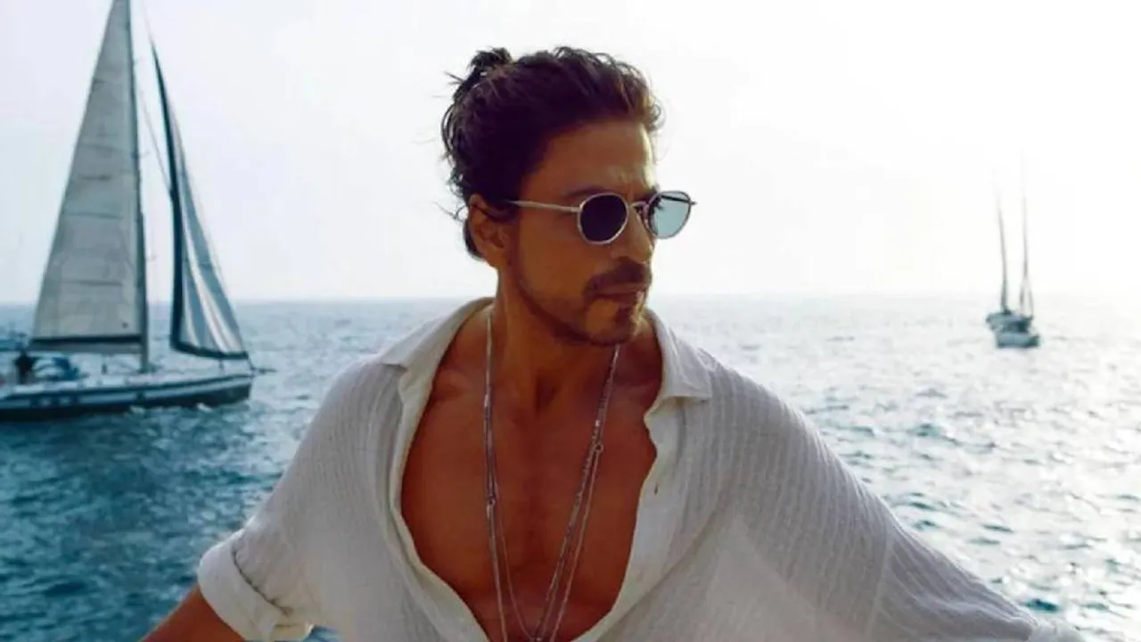 shahrukh-khan-earning-ways