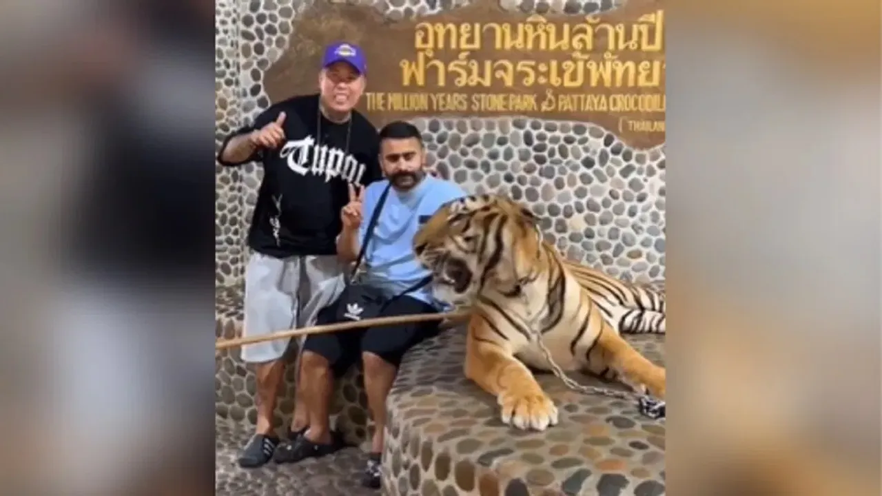 Tiger, Tiger video, Tiger viral video, Tiger attack, Tiger attack video, shocking video, viral videos, trending videos, trending news hindi, Trending News in Hindi, Trending Latest News, Trending News photos, Trending News Videos, Breaking Trending News hindi, Latest Trending News in Hindi, Trending news