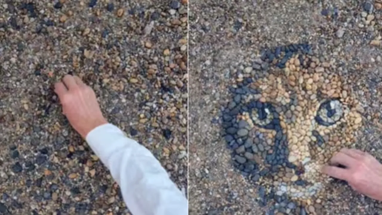 Artist,pebble,cat,viral,video,Instagram"